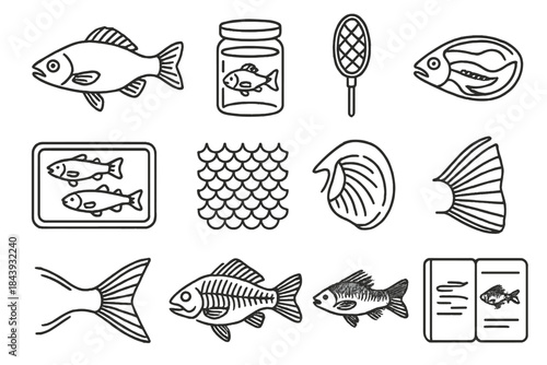 Vintage Ichthyology Icons. Line style icons of vintage ichthyology: fish illustration, jar, net, anatomy; specimen tray, scale