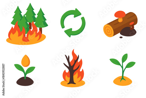 Natural Fire Ecosystem Cycle. Isometric vector illustration set Role of Natural Fires: burning pine forest, nutrient recycling