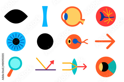 Animal Eye Optics Icons. Flat vector icons of optics of animal eyes: eye silhouette, lens icon, cornea, retina, iris, pupil, optic