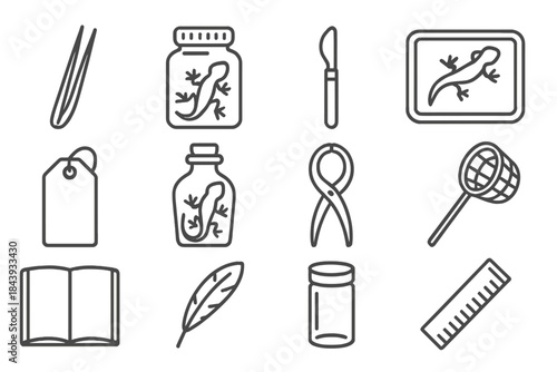 Reptile Study Tools Icons. Line style icons of reptile study tools: forceps, specimen jar, scalpel, dissection tray; labeling tag,