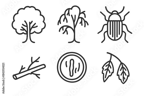Dutch Elm Icons. Line style icons of Dutch Elm Disease: elm tree silhouette, wilted crown, bark beetle, vascular staining, fallen