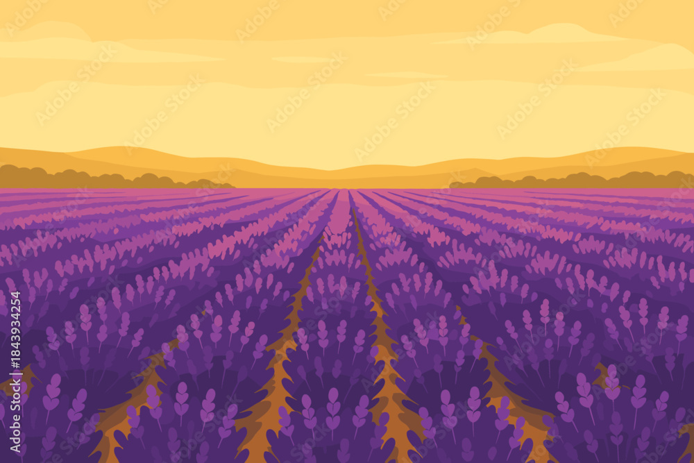 Fototapeta premium Lavender Field Bliss. Blooming lavender field stretching into the horizon under soft golden light, rich purples and yellows,