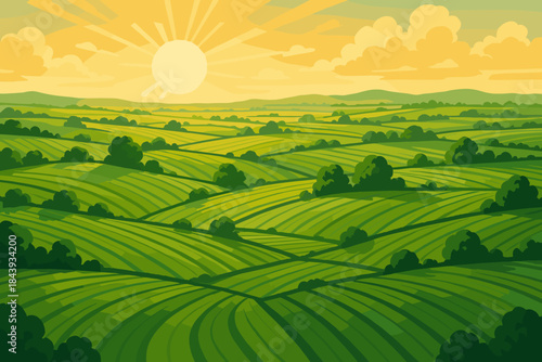 Golden Farmland Vista. Scenic aerial view of lush green farmland stretching into the horizon under golden sunlight, vector