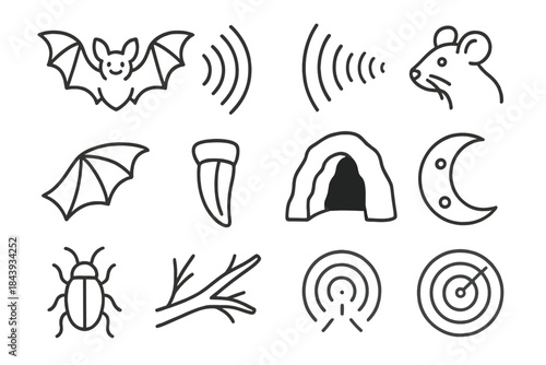 Echolocation Icons. Line style icons of Echolocation: Bat, Sound Wave, Echo, Prey Detection; Wings, Fang, Cave, Moon; Insect, Tree