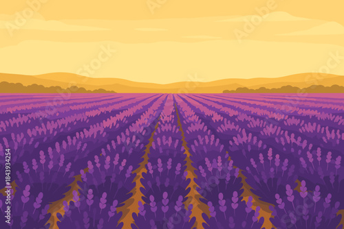 Lavender Field Bliss. Blooming lavender field stretching into the horizon under soft golden light, rich purples and yellows,