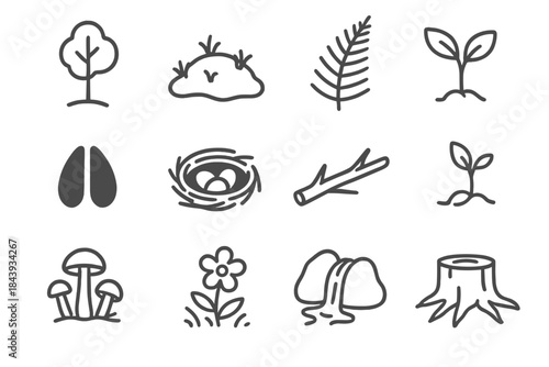 Natural Regeneration Icons. Line style icons of natural regeneration: young tree, moss, fern, sapling; deer track, bird nest,
