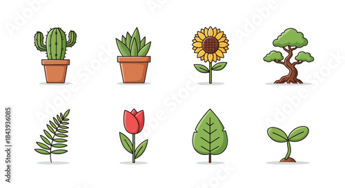 Collection of illustrated plants cactus succulent sunflower bonsai leafy sprig