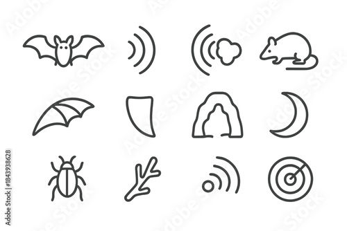 Animal Sonar Icons. Line style icons of Animal Sonar: Bat, Echolocation Wave, Echo, Prey Detection; Wings, Fang, Cave, Moon;