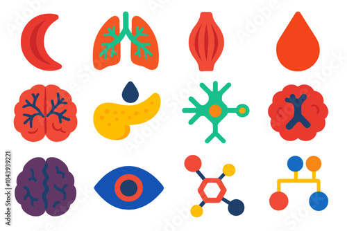 Genetic Disease Icons. Flat vector icons of genetic diseases: sickle cell blood cell, cystic fibrosis lungs, muscular dystrophy