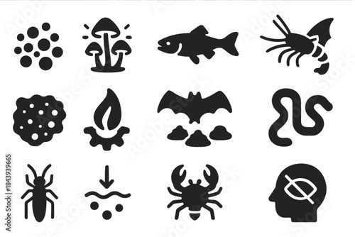 Cave Life Icons. Solid style icons of extremophiles in caves: microbial colony, glowing fungus, blind fish, cave shrimp, bacterial
