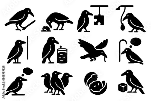 Smart Crows Icons. Solid style icons of problem-solving in crows: crow with tool stick, nut cracking on road, puzzle box, hanging