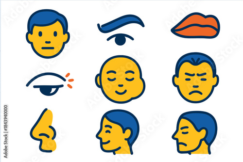 Flat Microexpression Icons. Flat vector icons of microexpression dynamics: human face, eyebrow raise, lip curl, eye squint, cheek