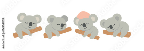 Cute koalas sleeping on branches in minimalist style