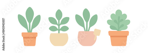 Minimalist flat design of potted plants in pastel colors