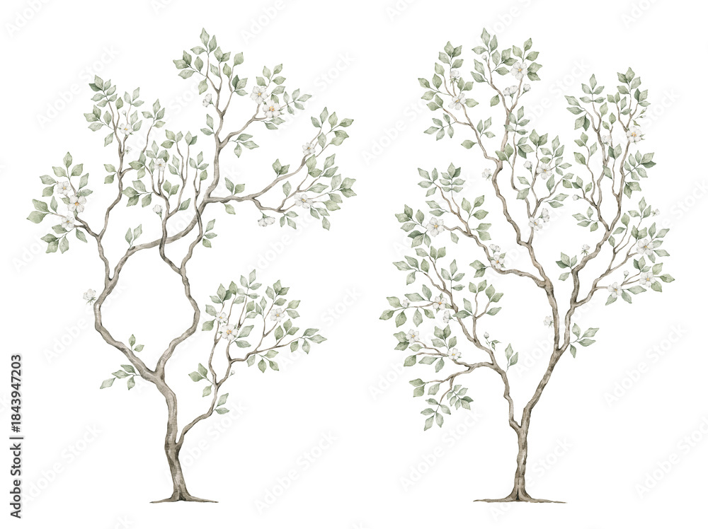 Obraz premium Watercolor tree with green leaves in chinoiserie style. Spring greenery illustration