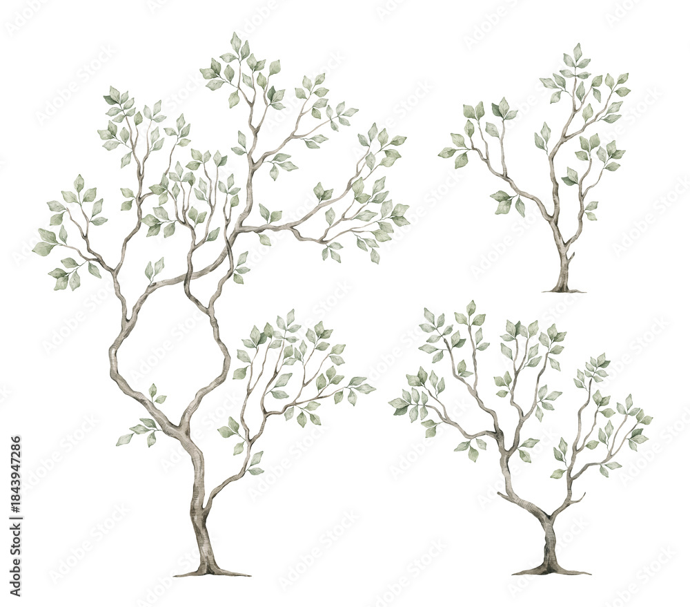 Obraz premium Watercolor tree with green leaves in chinoiserie style. Spring greenery illustration