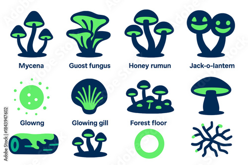 Glowing Fungi Icons. Flat vector icons of glowing fungi: mycena mushroom, ghost fungus, honey mushroom, jack-o-lantern mushroom,