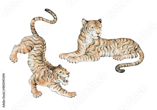 Slika na platnu Watercolor bengal tiger in quirky whimsical traditional style