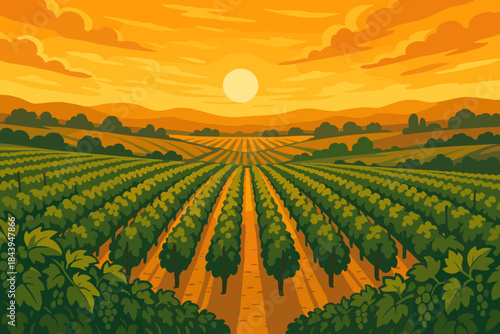 Golden Vineyard Sunset. Expansive vineyard under a vibrant golden sunset, with rows of lush grapevines vector illustration