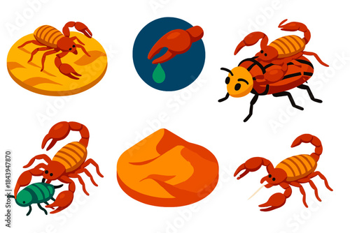 Pseudoscorpions Vector Icons. Isometric vector illustration set Pseudoscorpions: desert pseudoscorpions, venom glands, phoretic
