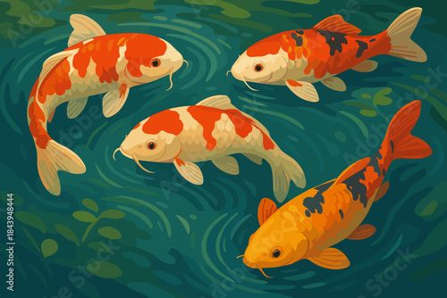 Vibrant Koi Swim. Vibrant close-up of colorful koi fish swimming vector illustration gracefully in a clear pond, rich natural