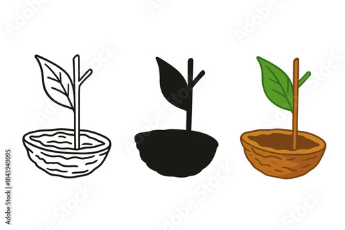 Walnut Shell Boat. Half walnut shell turned into miniature boat with twig mast and leaf sail, first in line style with thin