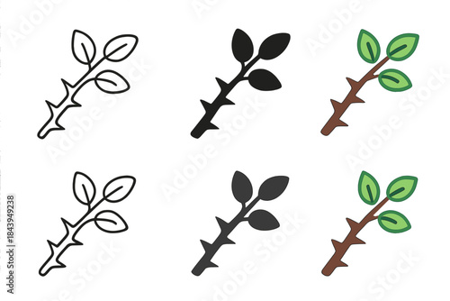 Blackberry Branch Styles. Pumpkin vine tendril coiled around small stem, clean geometric minimal icon, first in line style with