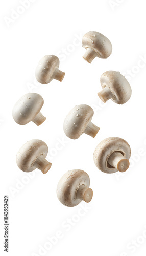 Fresh champignon mushroom falling on transparent background