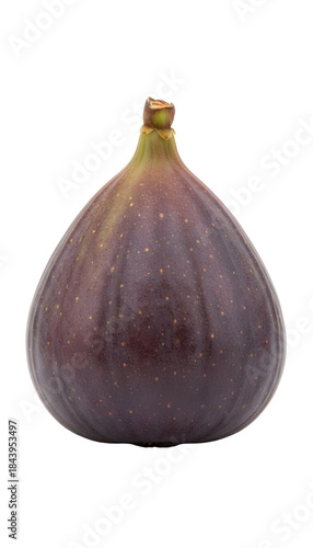 Whole fresh common fig fruit on transparent background