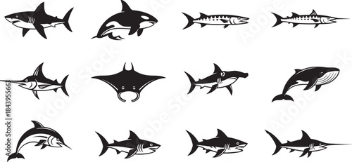 Silhouettes of various sea creatures including sharks, manta ray, and marlin are displayed row. Each silhouette showcases distinct features like fins and tails, capturing diversity of marine life