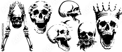 Vintage Human Skull Collection in Xerography Halftone Style, Retro Anatomical Skeleton Illustration on Transparent Background