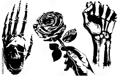 Vintage Anatomical Hands and Rose Silhouettes in Xerography Halftone Style, Retro Symbolic Illustration on Transparent Background