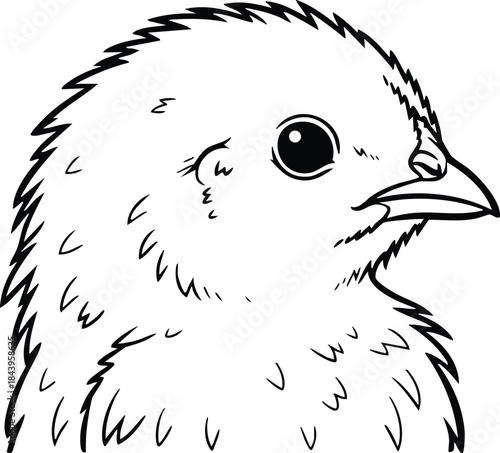 Line art close up chick head looking to the right with detailed feather strokes large round eye small pointed beak side profile on white background vector