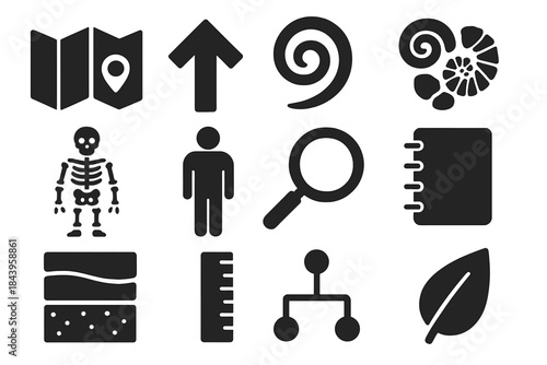 Spatial Mapping Icons. Solid style icons of spatial distribution and mapping: map, arrow, spiral, fossil cluster, skeleton, human