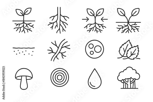 Plant Ecology Icons. Line style icons of Plant Ecology: Mycorrhiza, Plant Root, Nutrient Transfer, Wood Wide Web; Soil, Hyphae