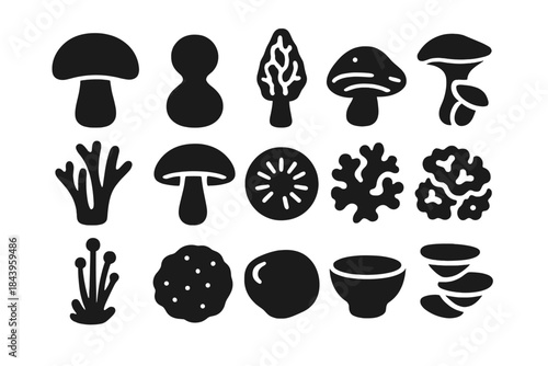 Fungal Icon Diversity. Solid style icons of Fungal diversity: mushroom cap, puffball, morel, bracket fungus, coral fungus, gilled