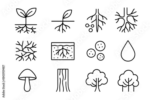 Soil Biology Icons. Line style icons of Soil Biology: Mycorrhizal Association, Plant Root, Nutrient Transfer, Fungal Web; Hyphae,