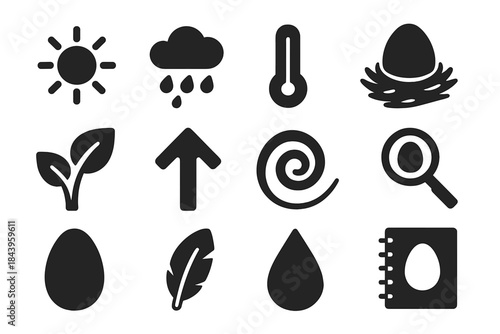 Environmental Egg Icons. Solid style icons of environmental factors affecting eggs: sun, rain, temperature gauge, nest, leaves,