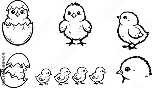 Line art sketch chicken and chick characters hatching eggs close up profile and frontal views set of six hand drawn vector icons playful black line style
