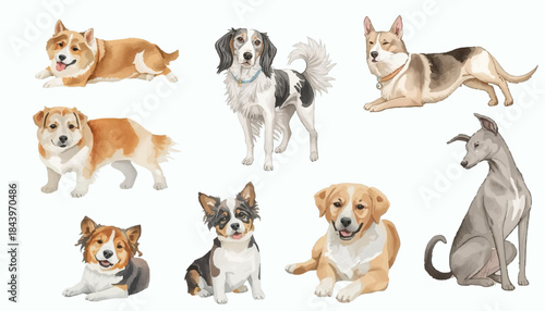 Adorable pack of different dog breeds, from playful puppies to elegant companions, depicted in a soft watercolor illustration style