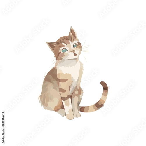 Cute British Shorthair kitten sitting on a white background and looking curious