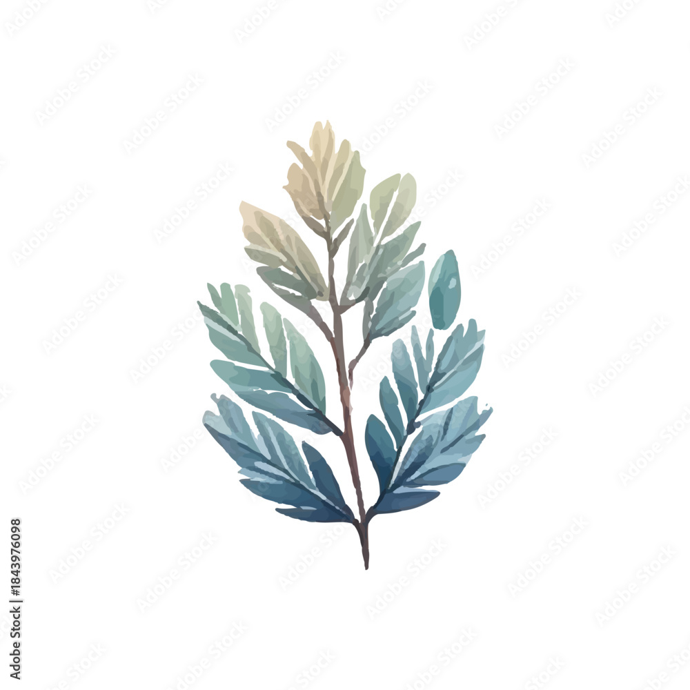 Fototapeta premium Watercolor illustration of a graceful botanical branch with delicate blue-green leaves, perfect for natural designs