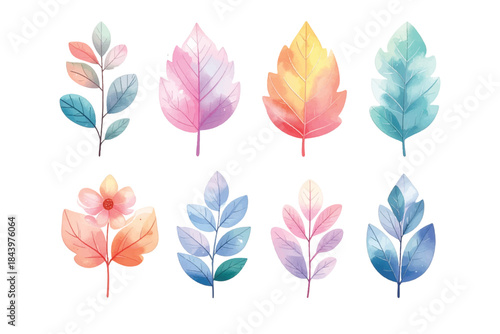 Watercolor botanical illustrations of colorful autumn leaves and delicate flowers