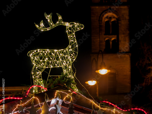 Festive Christmas Decoration: Illuminated Reindeer Display at Night