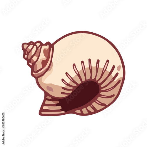 Hand drawn illustration. Collection realistic sea shell for design