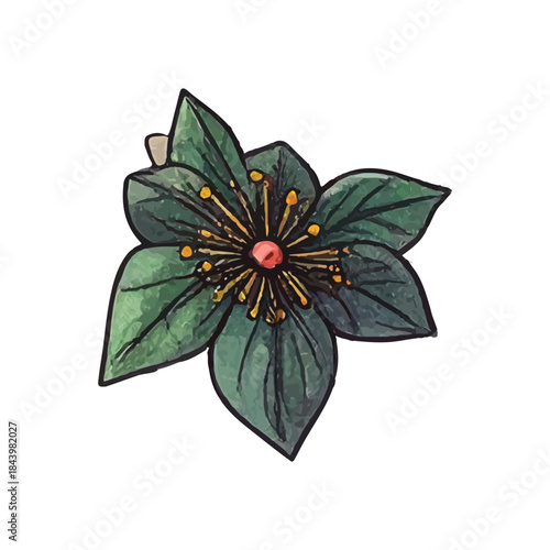 A vibrant illustration of a dark green flower with yellow stamen, showcasing intricate detail and a touch of nature's beauty