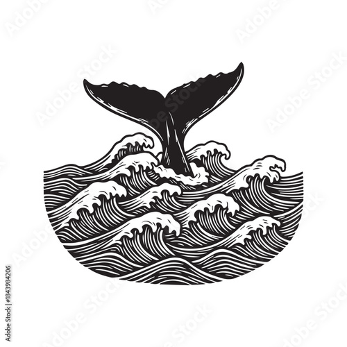Hand drawn illustration of a whale tail diving into ocean waves. Black and white line art sketch of marine wildlife and sea water ripples texture background.
