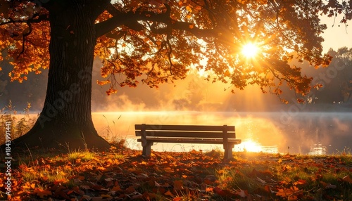 Bench by the Lake at Sunrise in Autumn.