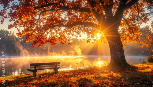 Autumn Serenity - Bench by Lake at Sunrise with Golden Light.
