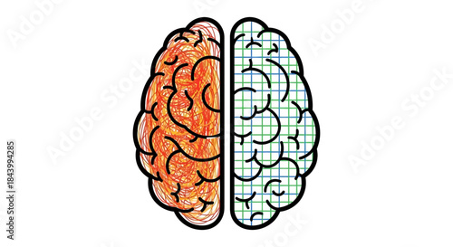 brain hemispheres illustrating creative chaos versus logical order symbolizing divergent thinking problem-solving and cognitive functions.